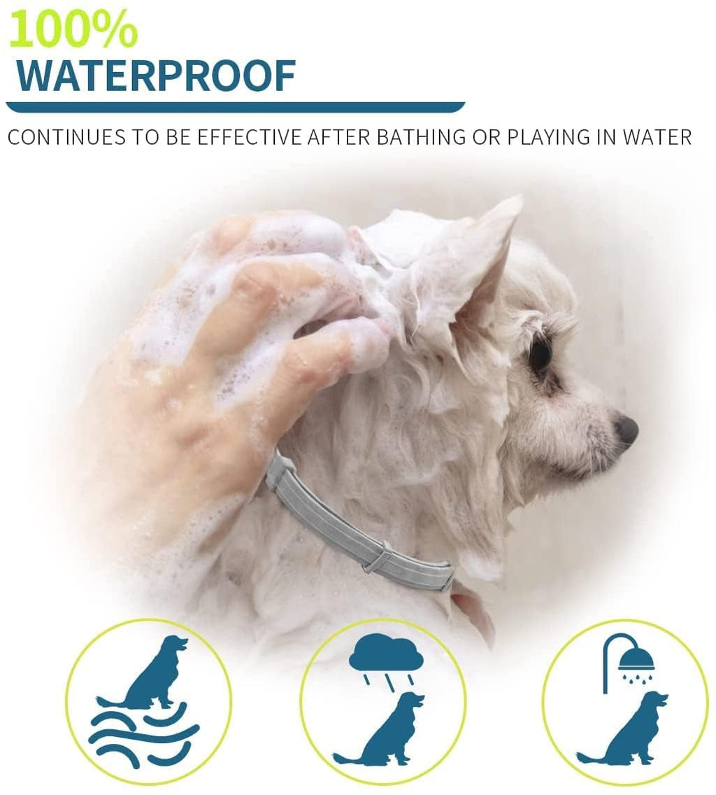 Flea and Tick Collar for Small Dogs, 15.5inch, 8 Month Protection, Gray H68836
