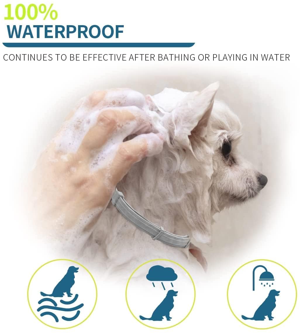 Flea and Tick Collar for Small Dogs, 15.5inch, 8 Month Protection, Gray H68836
