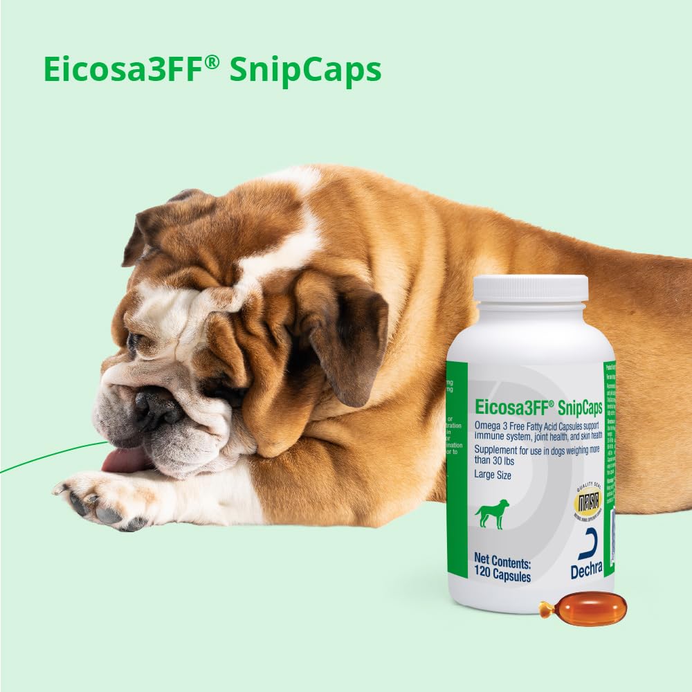 Omega 3 Free Fatty Acid Capsules 120 Capsules L188