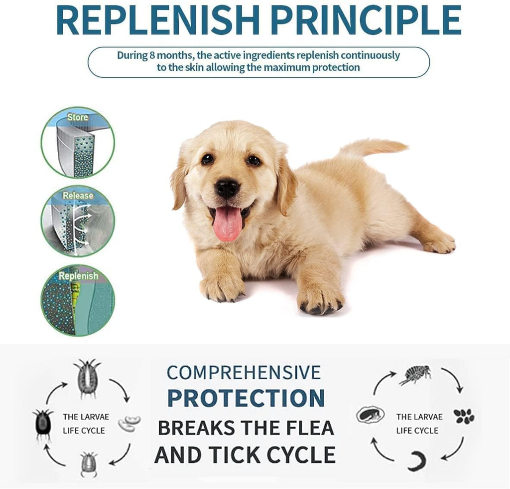 Flea and Tick Collar for Small Dogs, 15.5inch, 8 Month Protection, Gray H68836