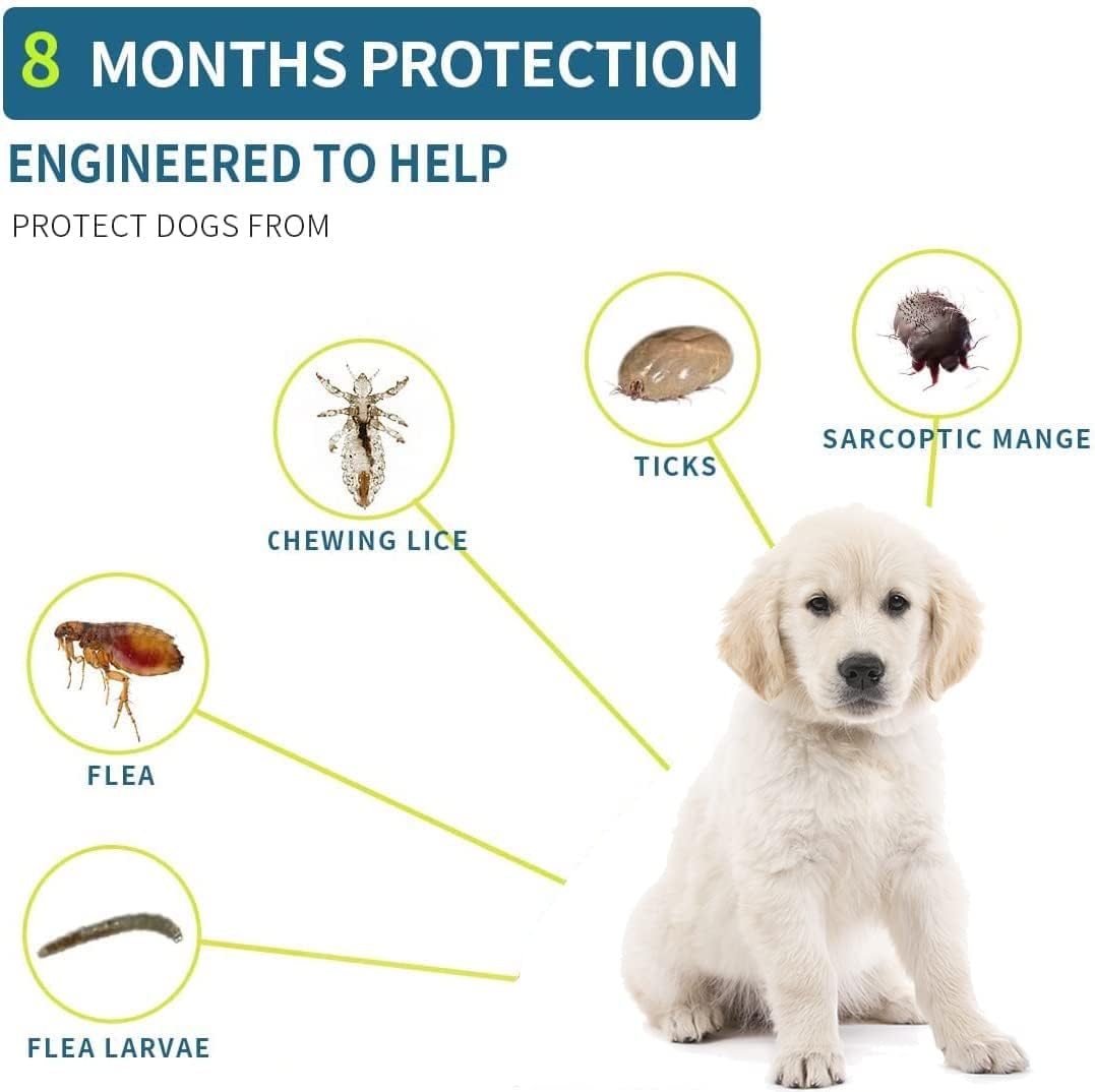 Flea and Tick Collar for Small Dogs, 15.5inch, 8 Month Protection, Gray H68836