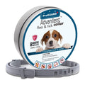 Flea and Tick Collar for Small Dogs, 15.5inch, 8 Month Protection, Gray H68836