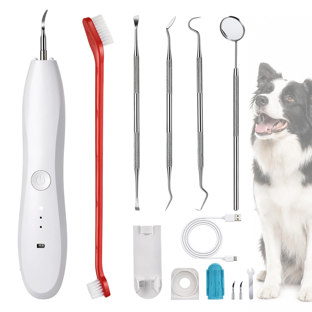 Dog Tartar Ultrasonic Teeth Cleaning Kit T234538