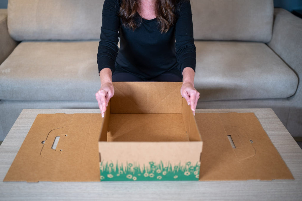 Biodegradable Disposable Litter Boxes 8-Pack D31322