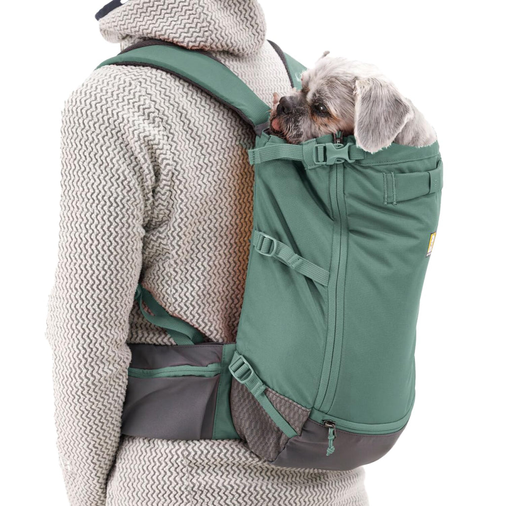Dog Backpack Carrier W353897