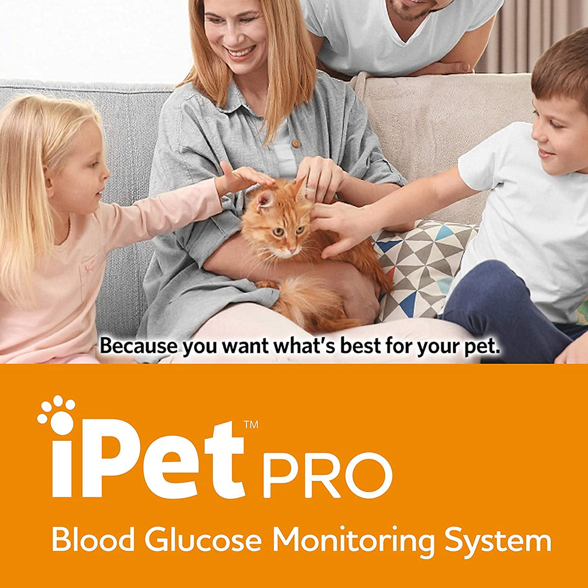 Blood Glucose Monitoring System for Dogs & Cats M41755