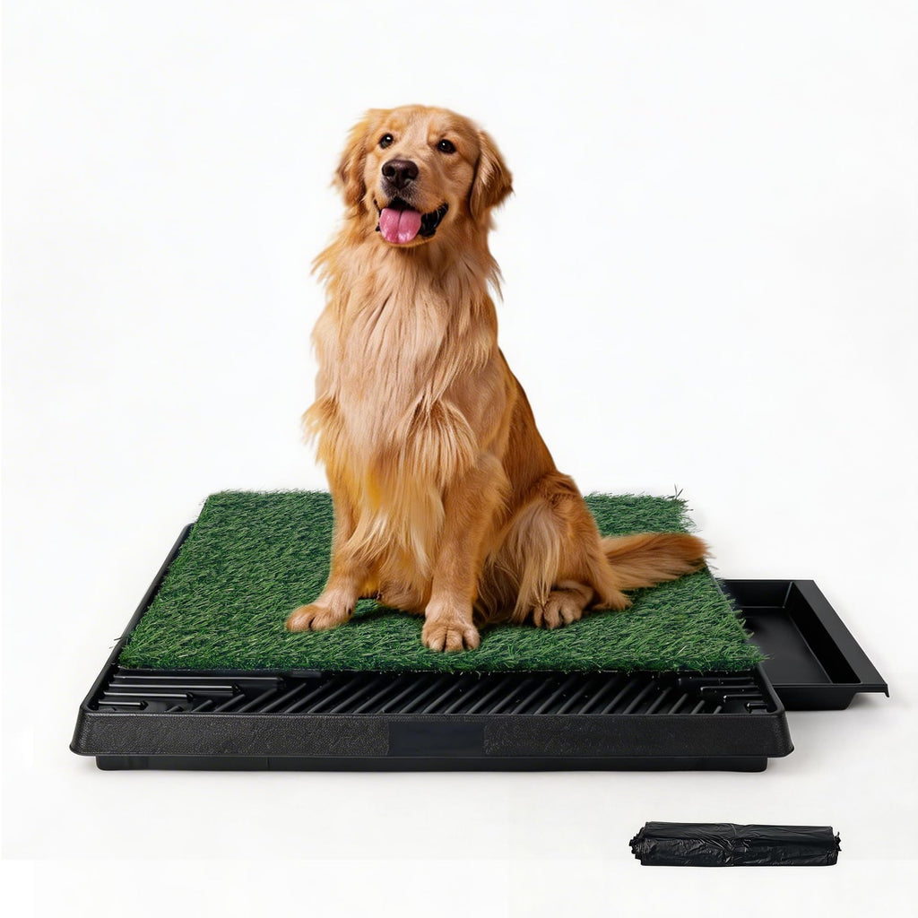 Dog Grass Pad with Tray V54077