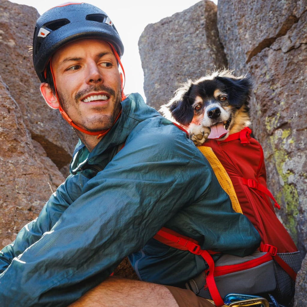 Dog Backpack Carrier W353897