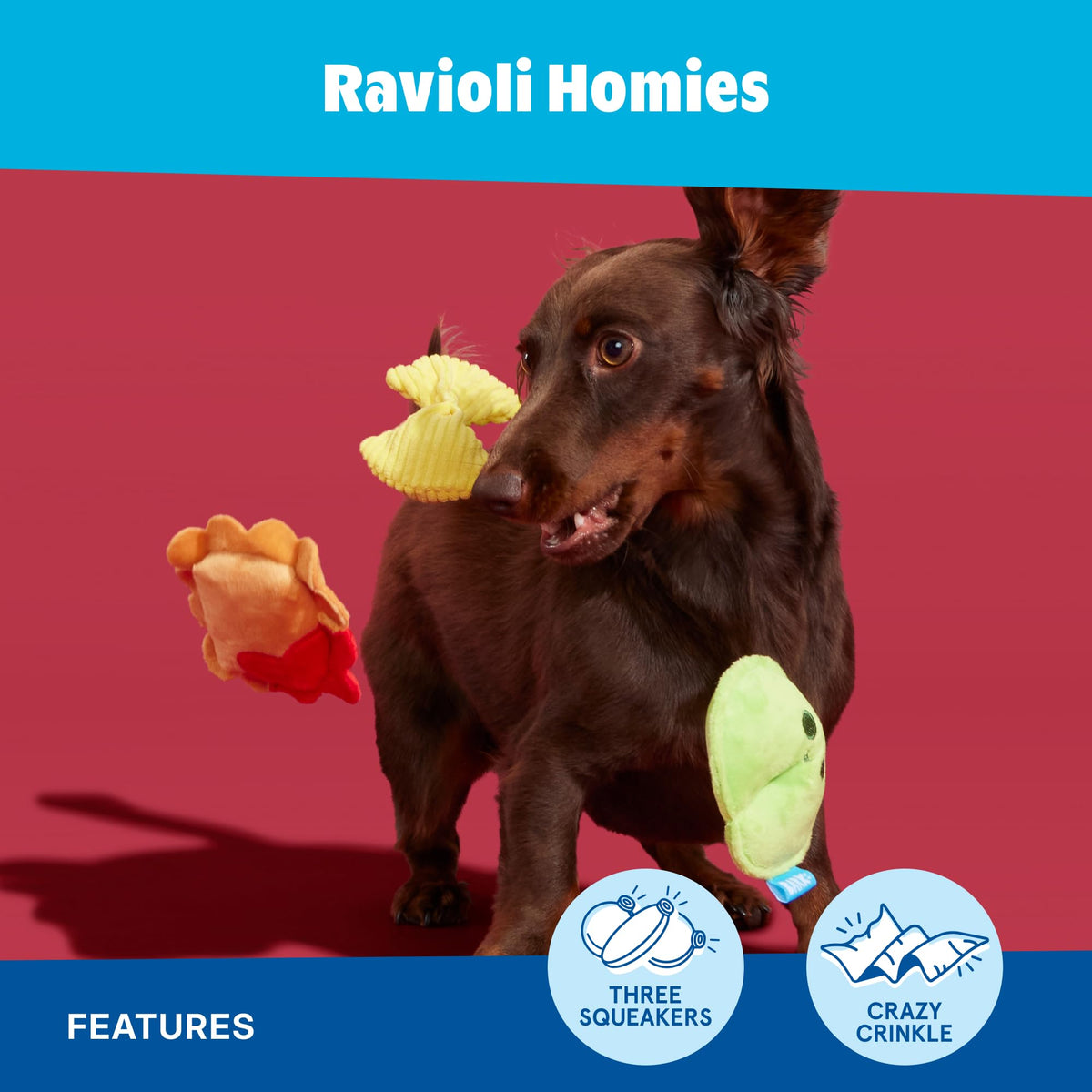 Dog Toy A993239