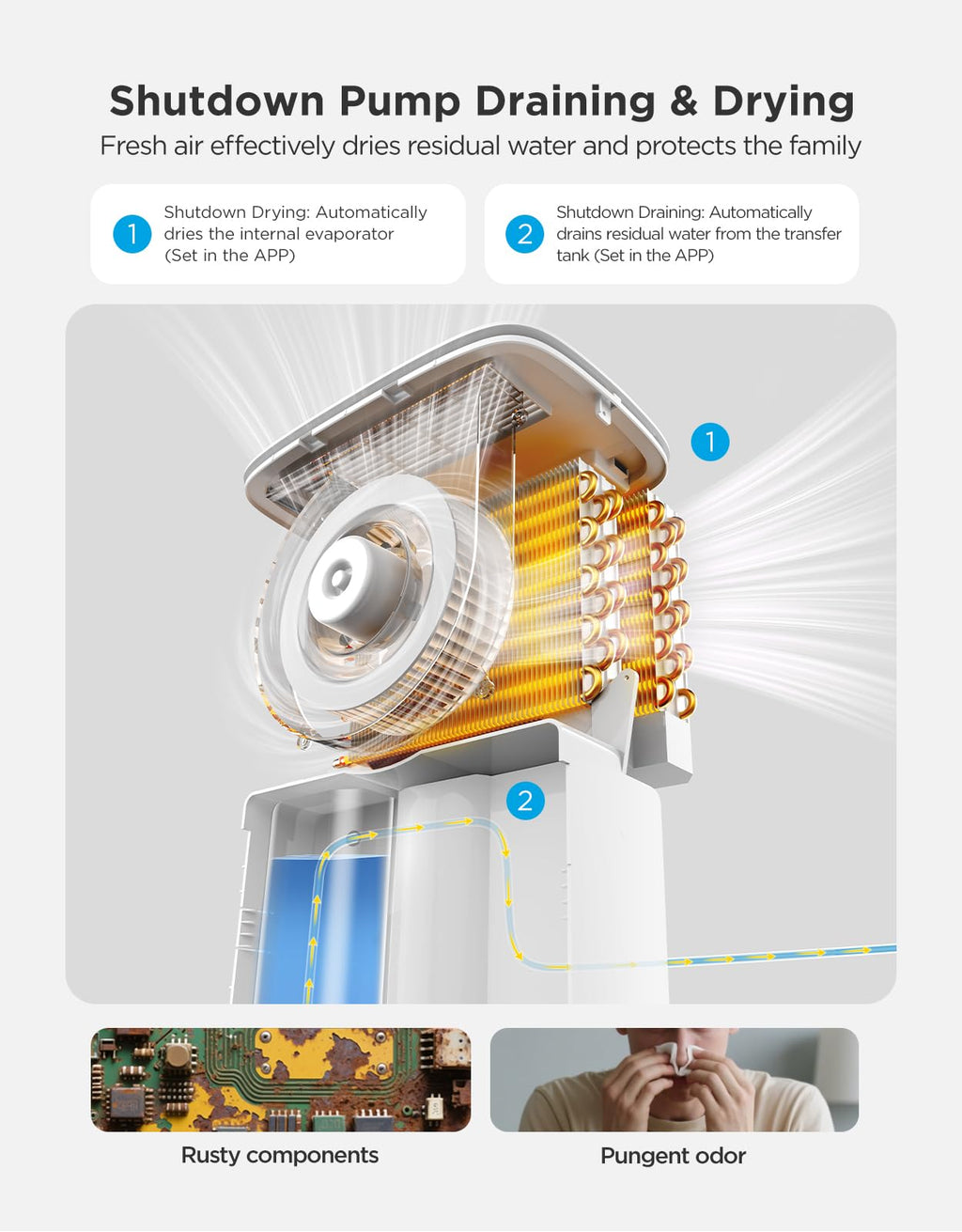 Dehumidifier with Air Quality Monitor H4208