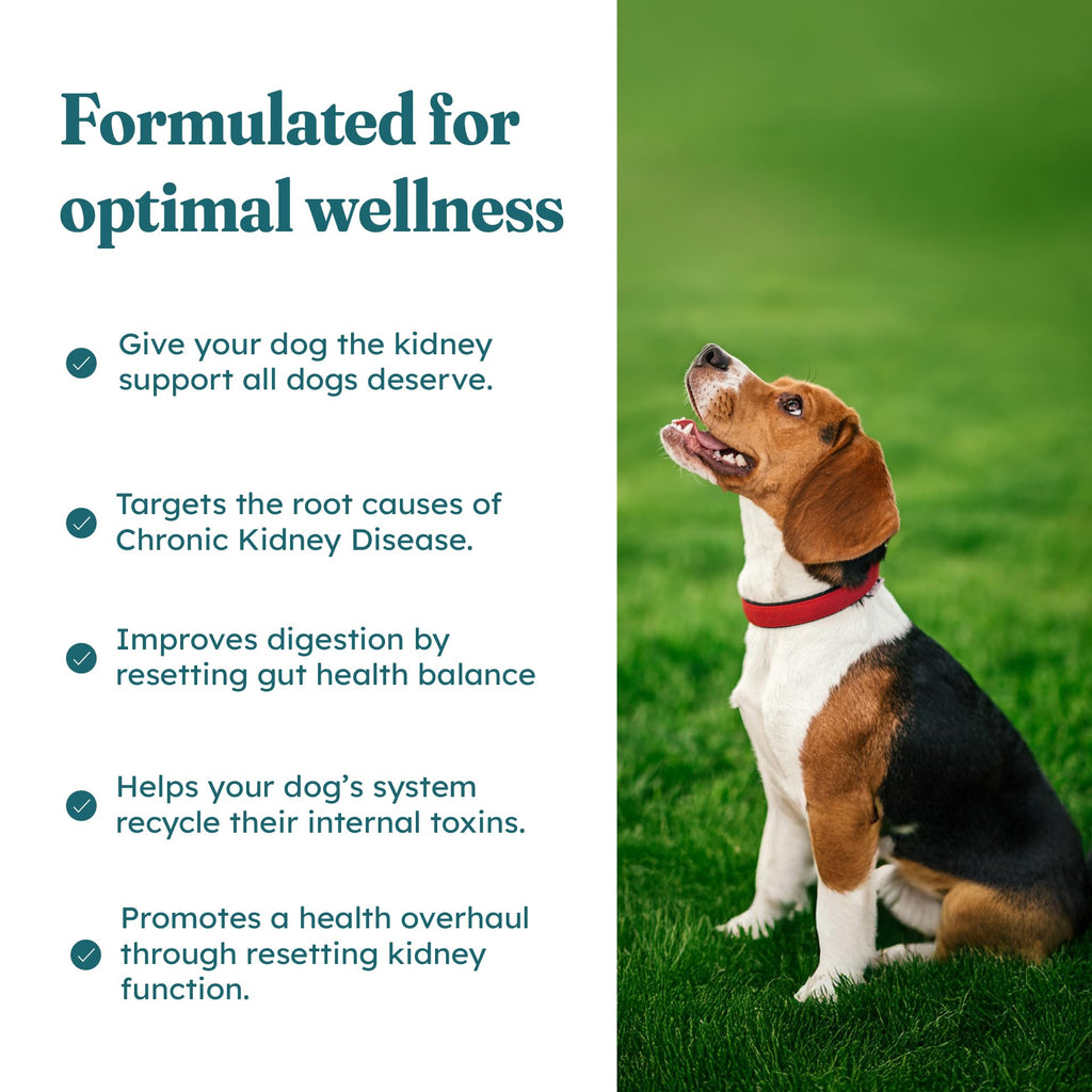 30 Soft Chews Pork Flavor Kidney Supplement for Dogs U480