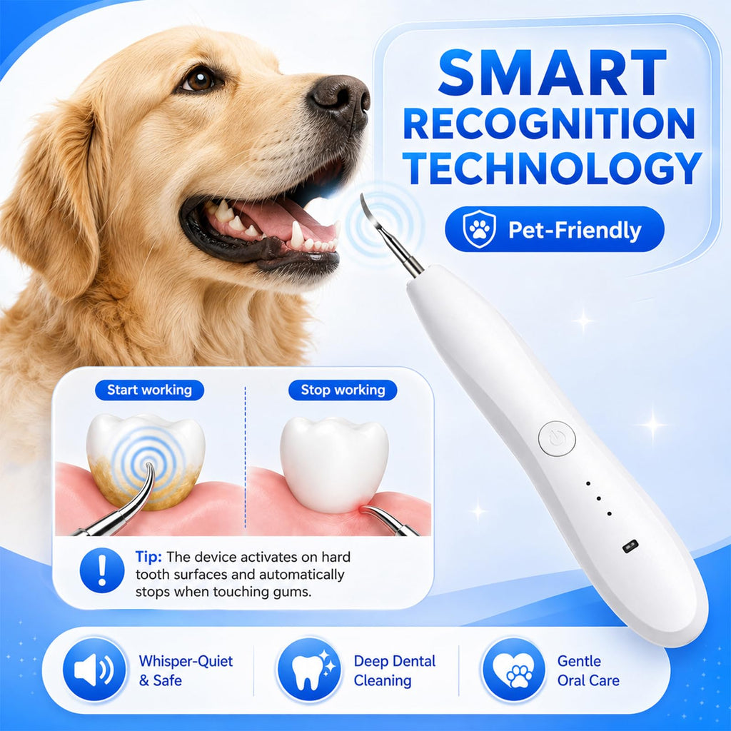 Dog Tartar Ultrasonic Teeth Cleaning Kit T234538