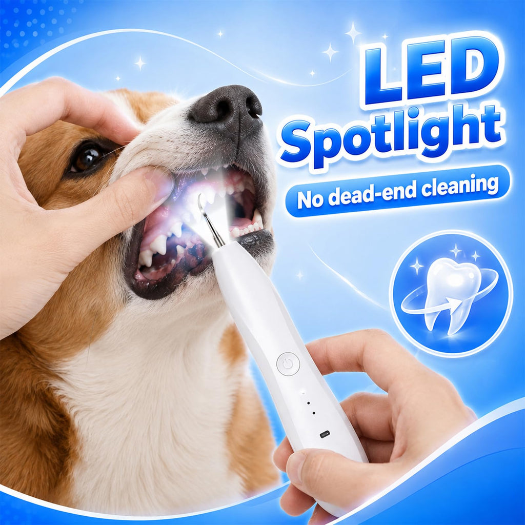 Dog Tartar Ultrasonic Teeth Cleaning Kit T234538