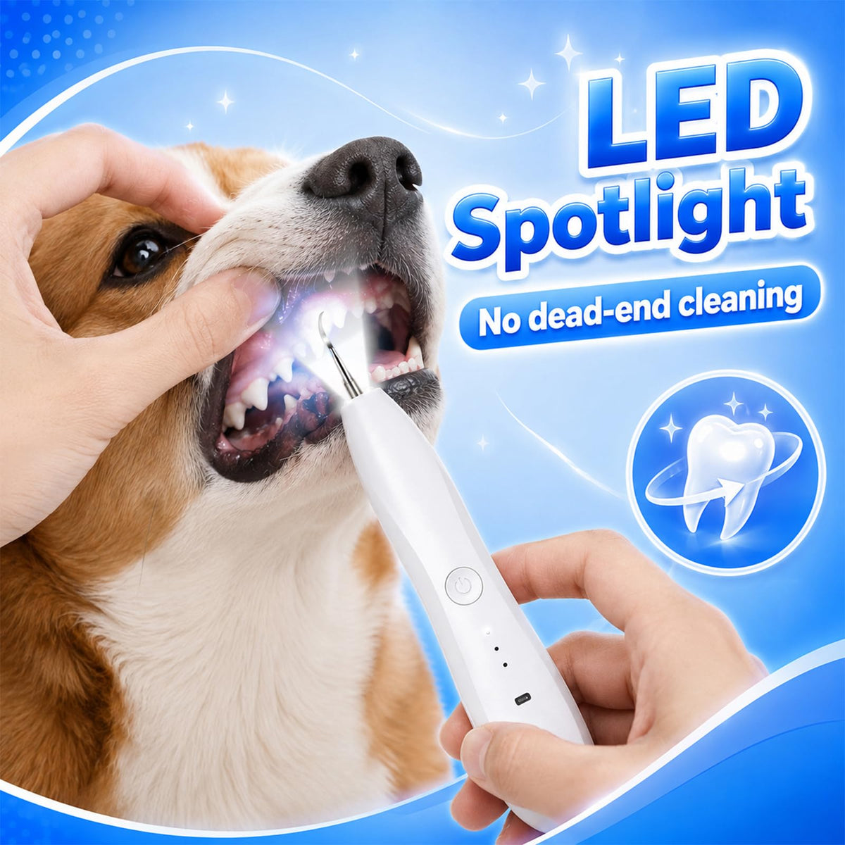 Dog Tartar Ultrasonic Teeth Cleaning Kit T234538