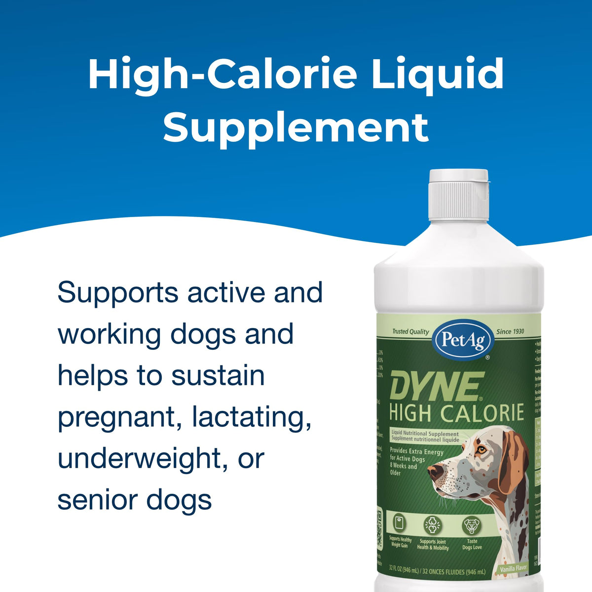 High Calorie Liquid Nutritional Supplement for Dogs & Puppies 32 oz F354