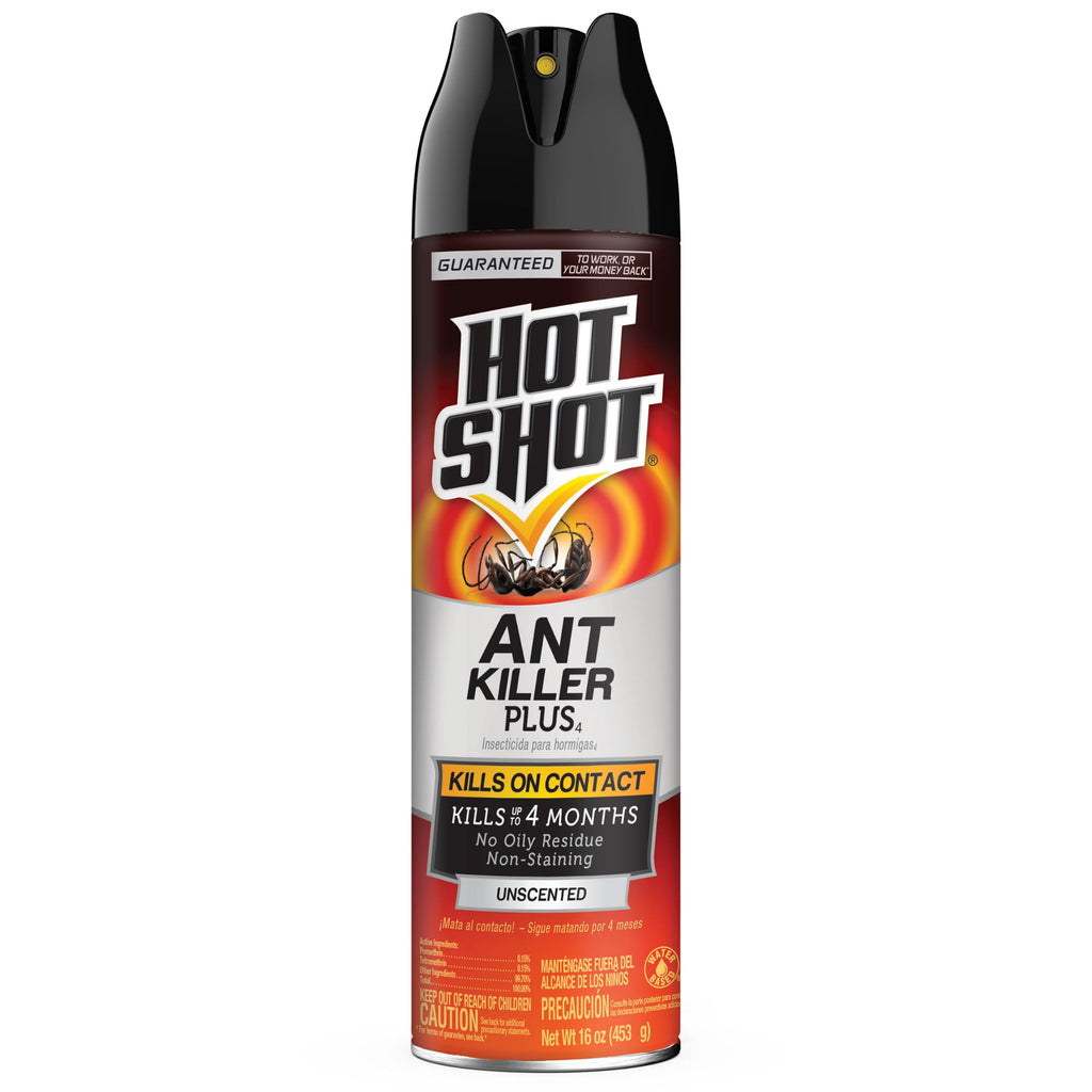 Ant Killer Plus Aerosol 16 Oz Unscented G368