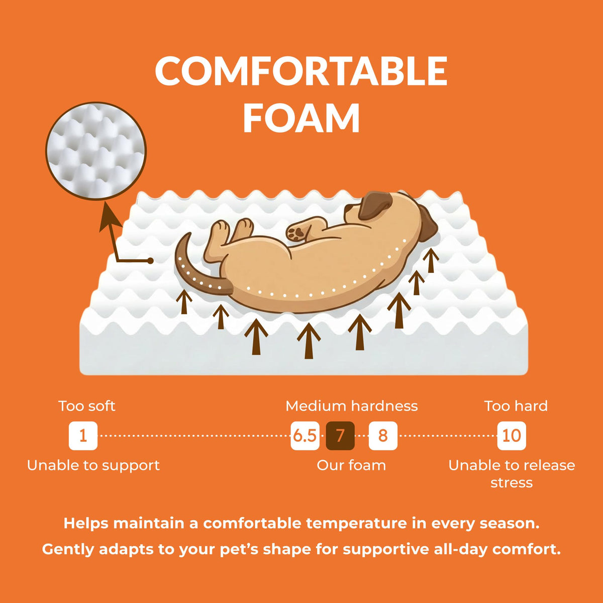 Wood Dog Bed Frame with Foam Mattress S75668