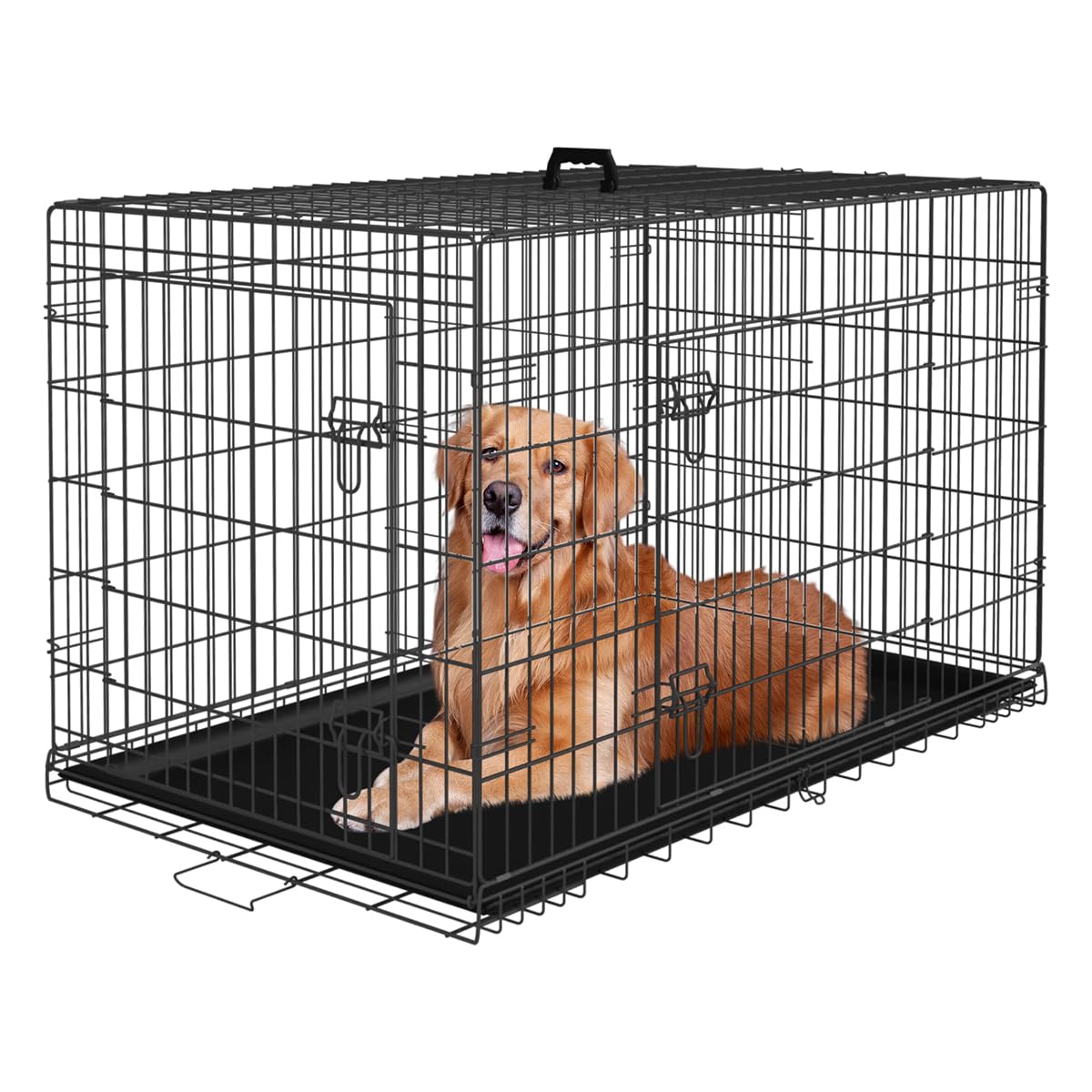 48 Inch Black Dog Crate L3822