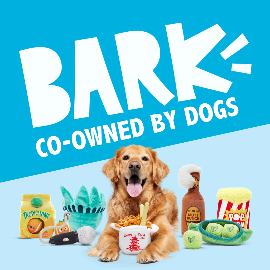 Dog Toy A993239