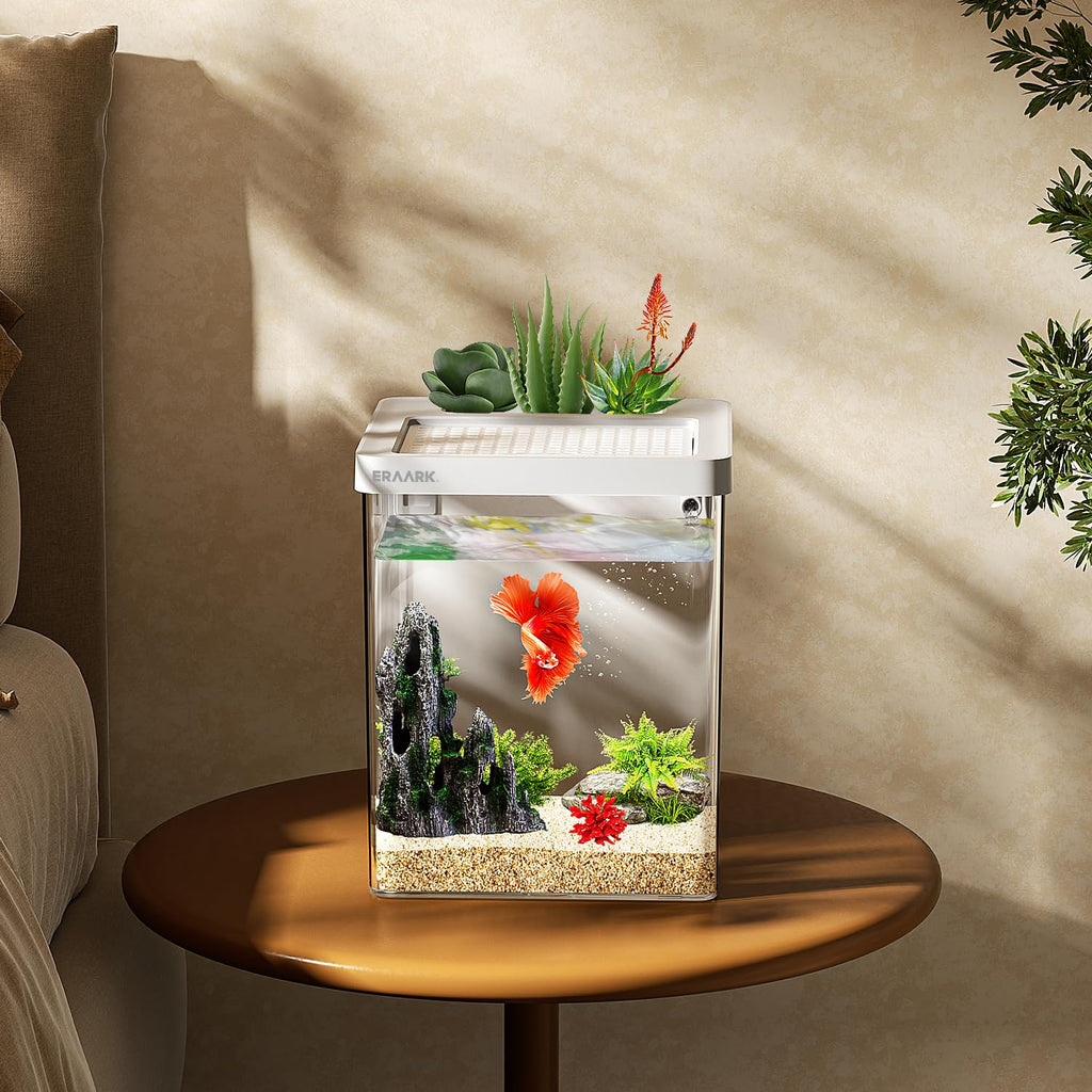 Smart Betta Fish Tank 1.5 Gallon Aquarium with Filter LED Light B197