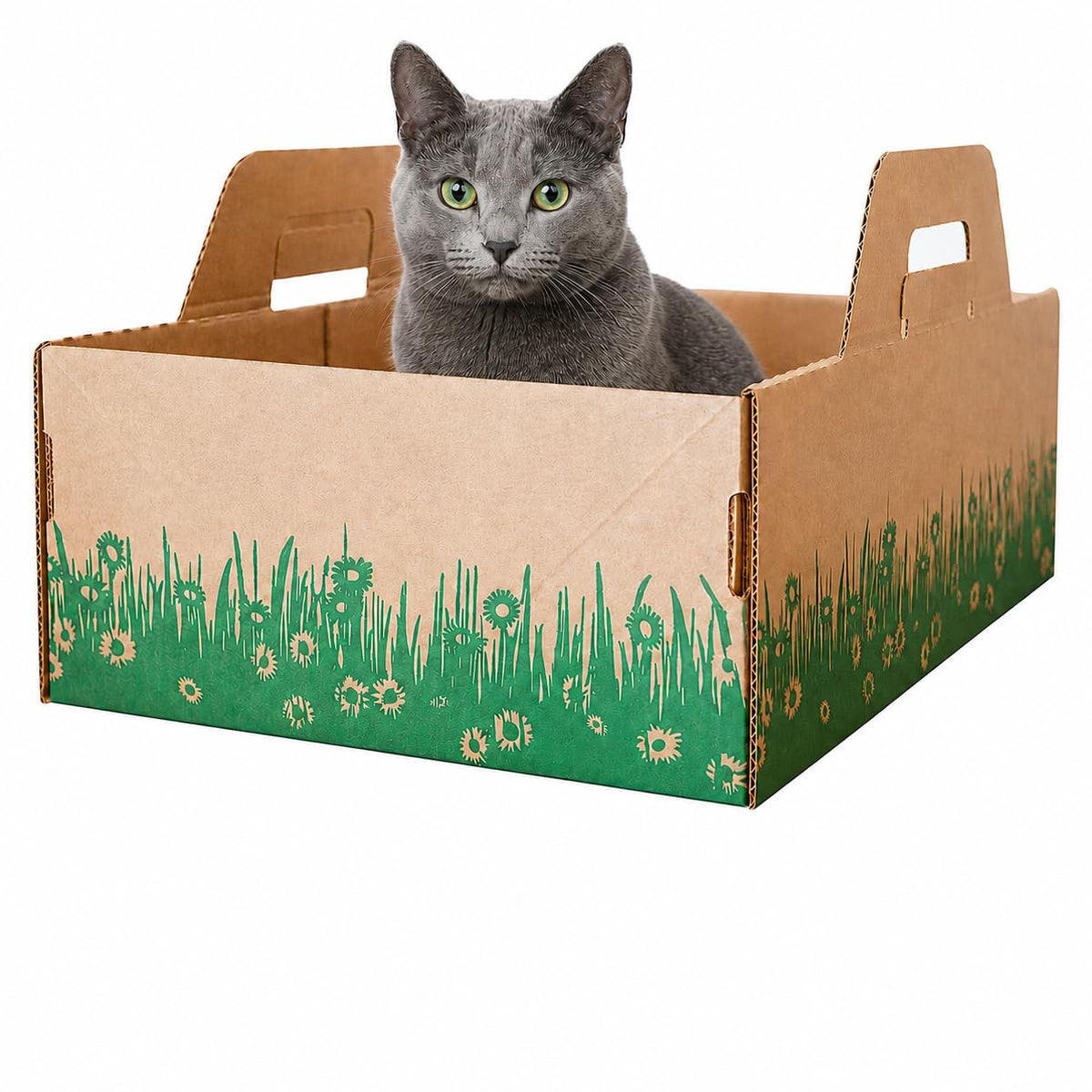 Biodegradable Disposable Litter Boxes 8-Pack D31322