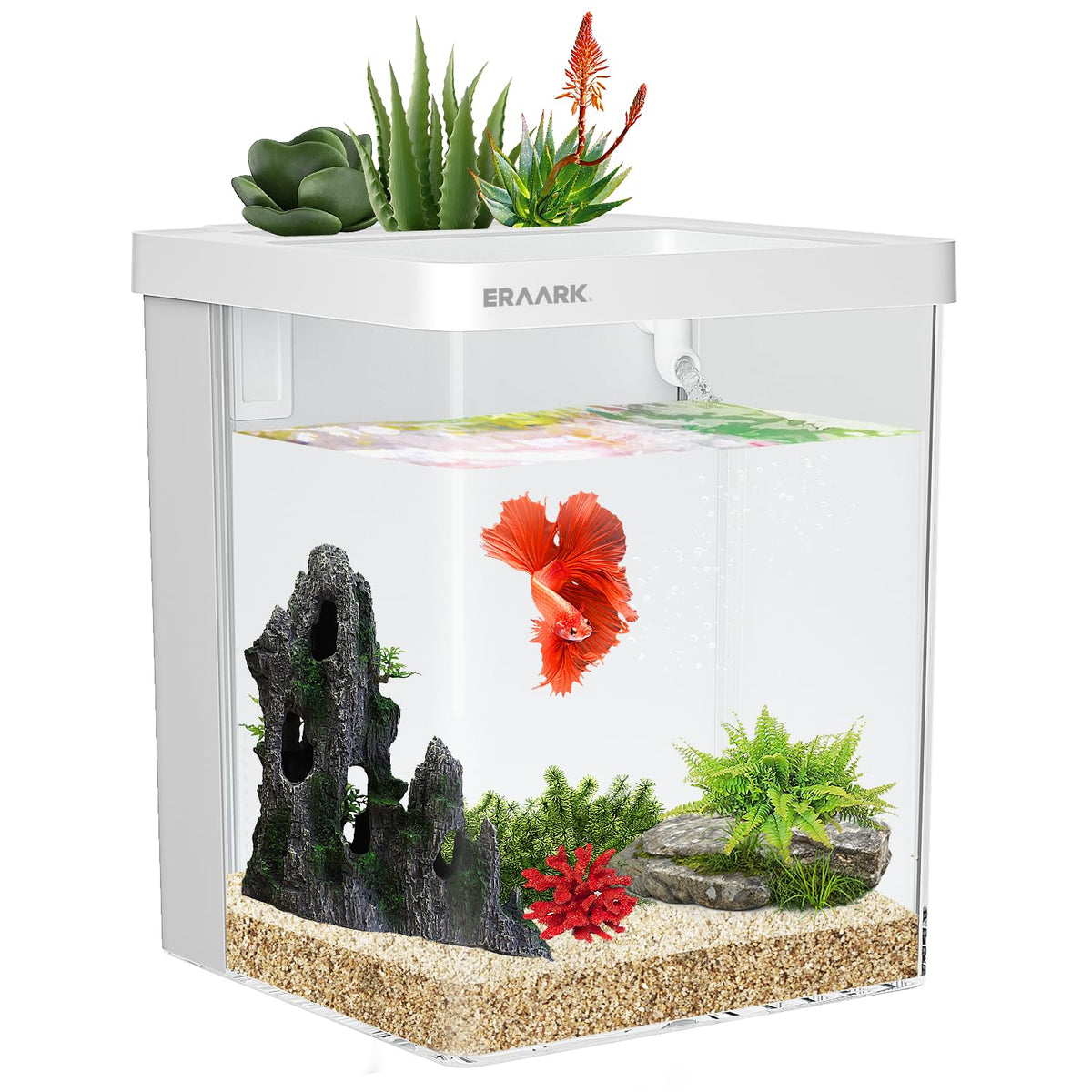 Smart Betta Fish Tank 1.5 Gallon Aquarium with Filter LED Light B197