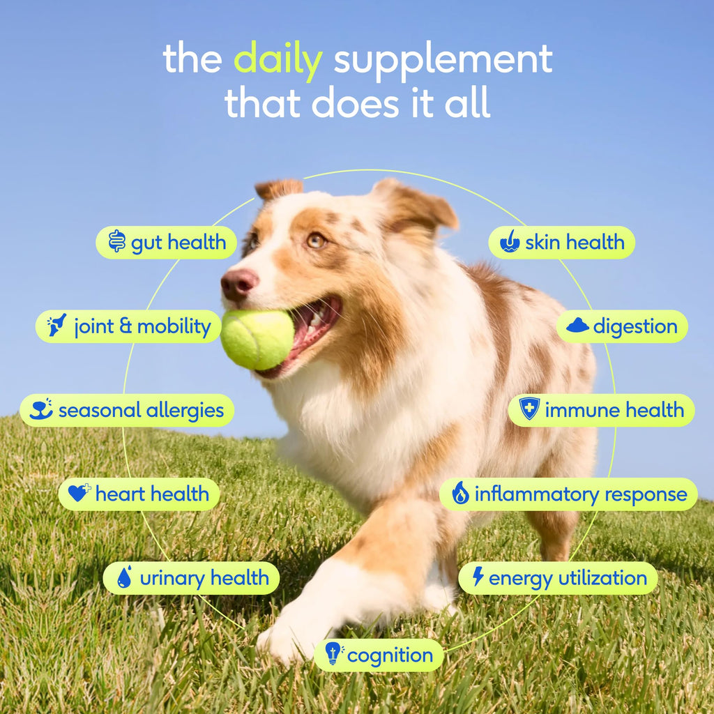 Dog Multivitamin Powder with Probiotics F379