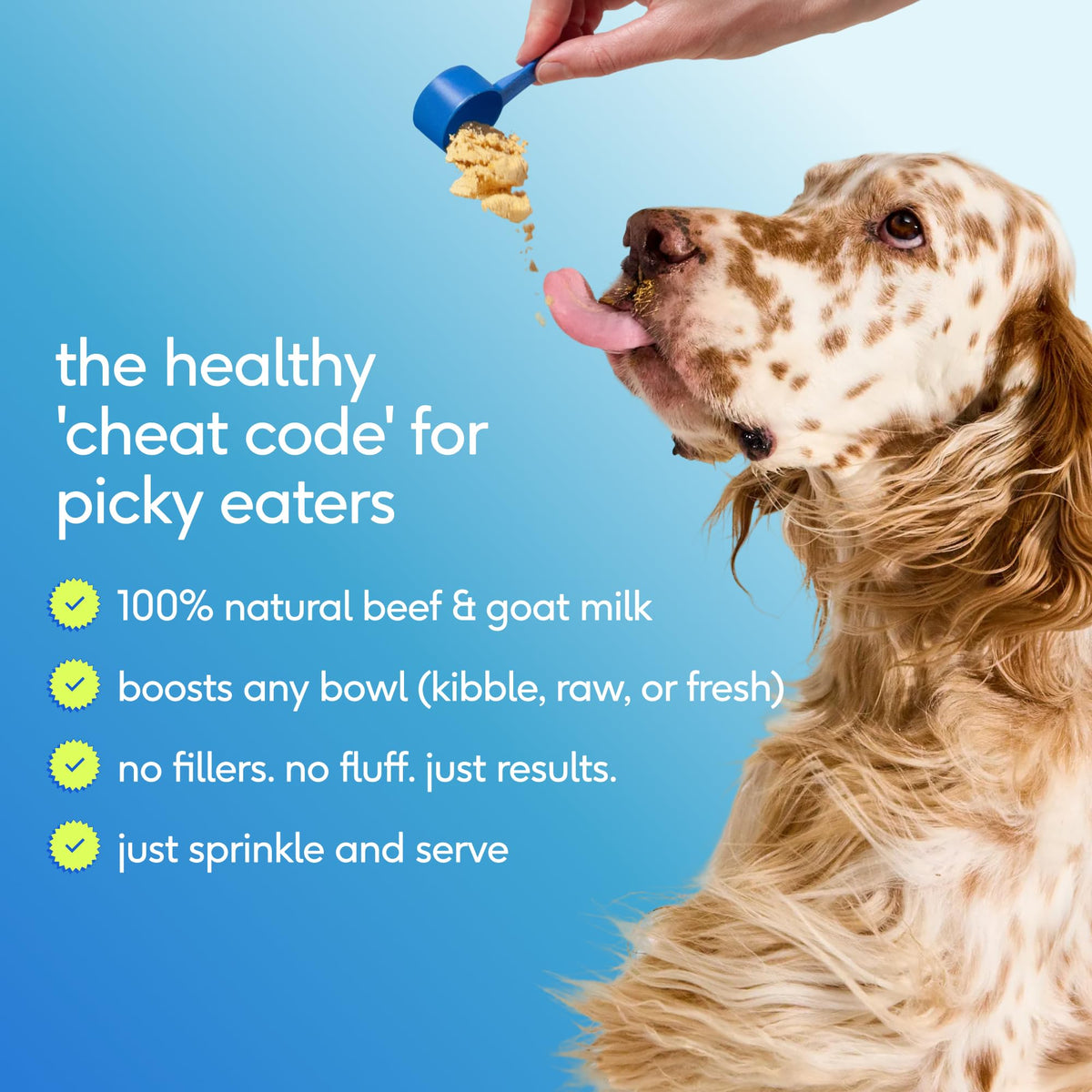 Dog Multivitamin Powder with Probiotics F379
