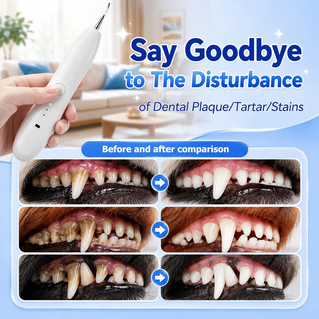 Dog Tartar Ultrasonic Teeth Cleaning Kit T234538