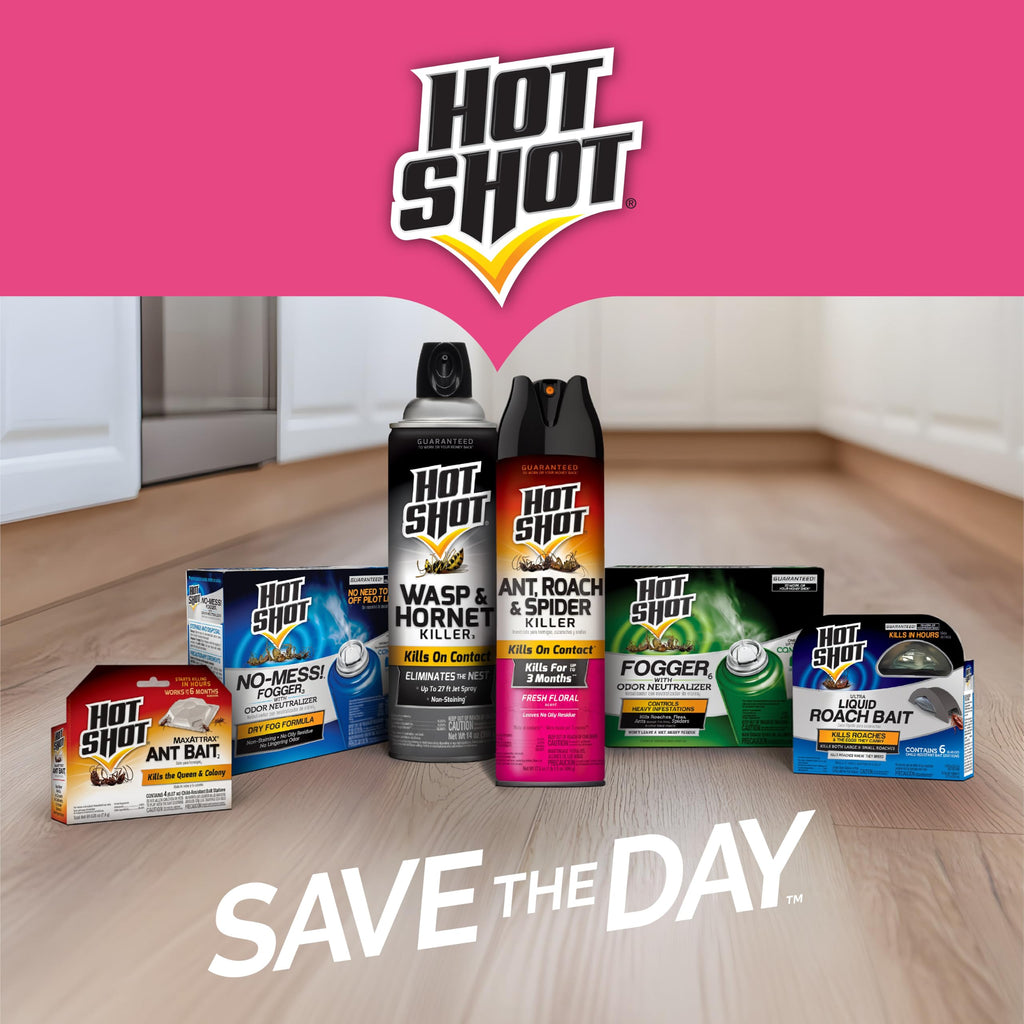 Ant Killer Plus Aerosol 16 Oz Unscented G368