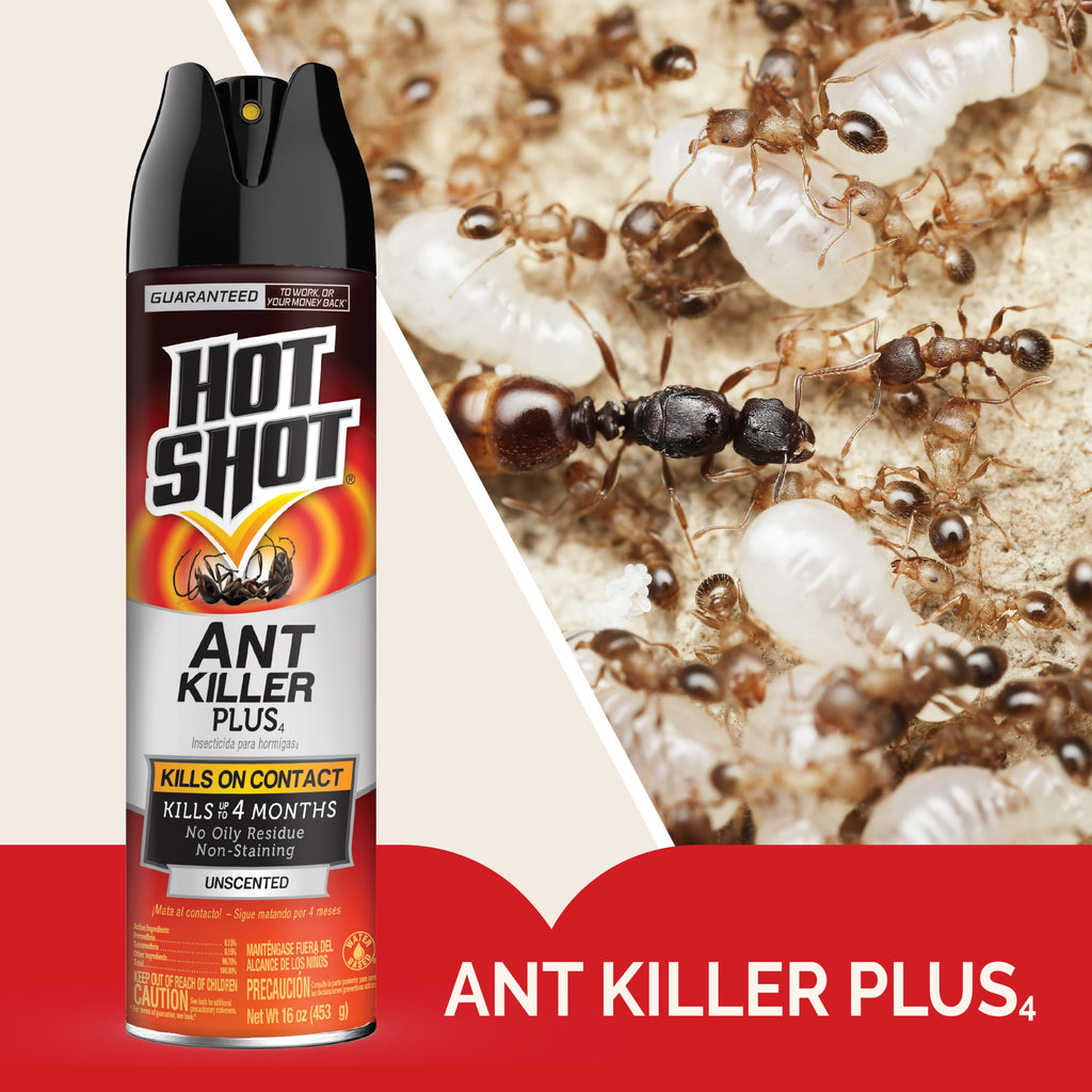 Ant Killer Plus Aerosol 16 Oz Unscented G368