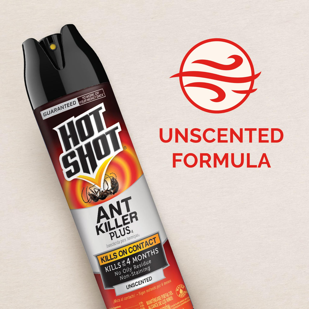 Ant Killer Plus Aerosol 16 Oz Unscented G368