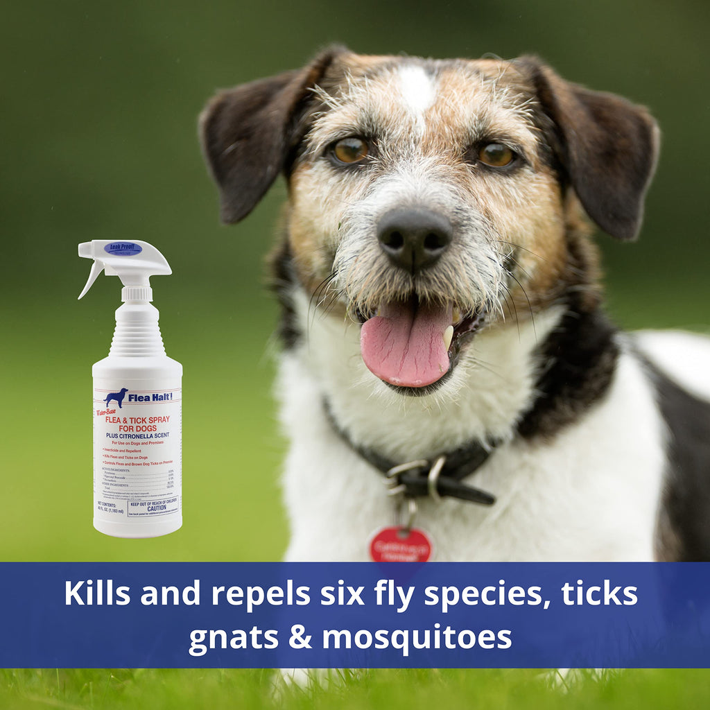 Water-Based Flea & Tick Spray for Dogs, 40 fl oz N317614
