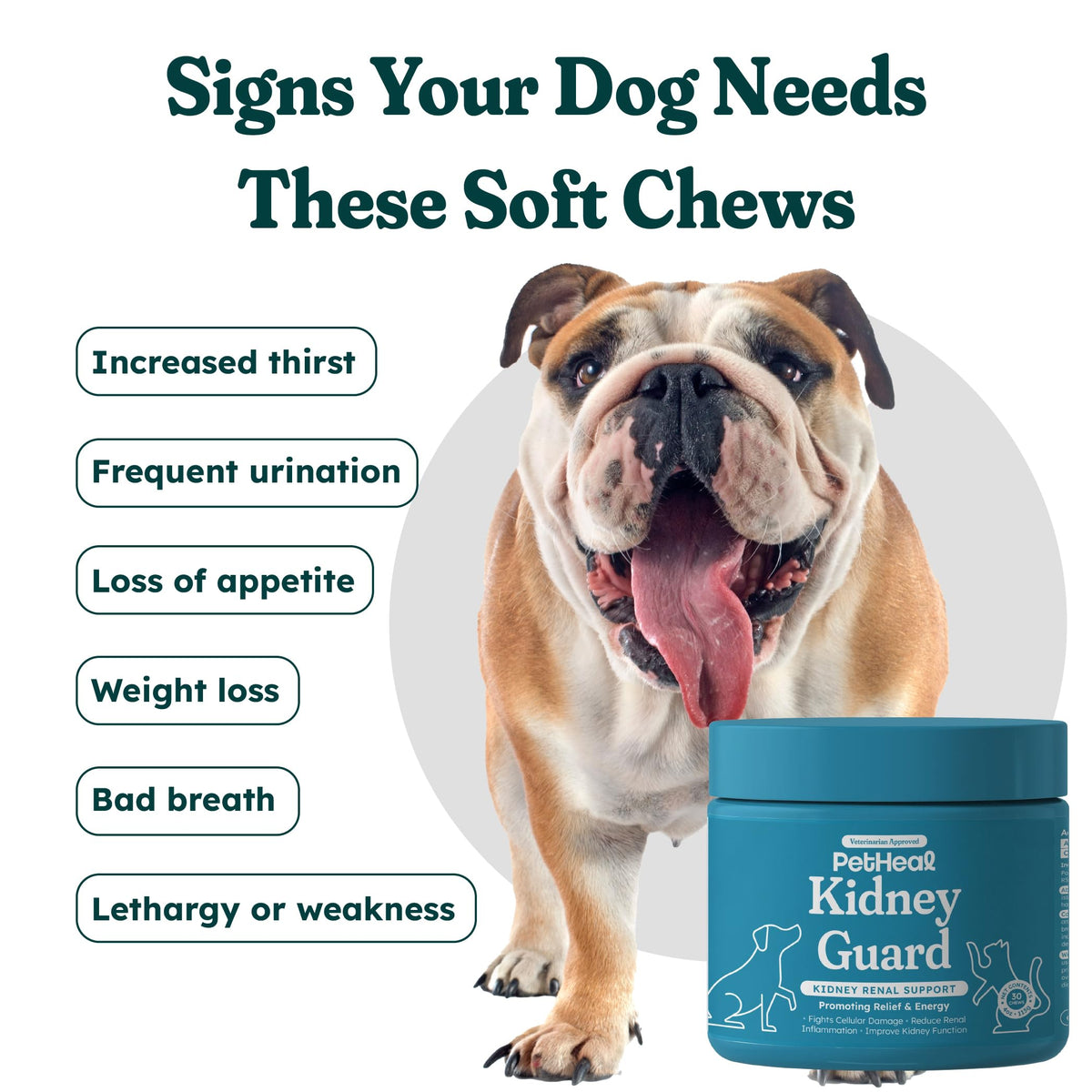 30 Soft Chews Pork Flavor Kidney Supplement for Dogs U480