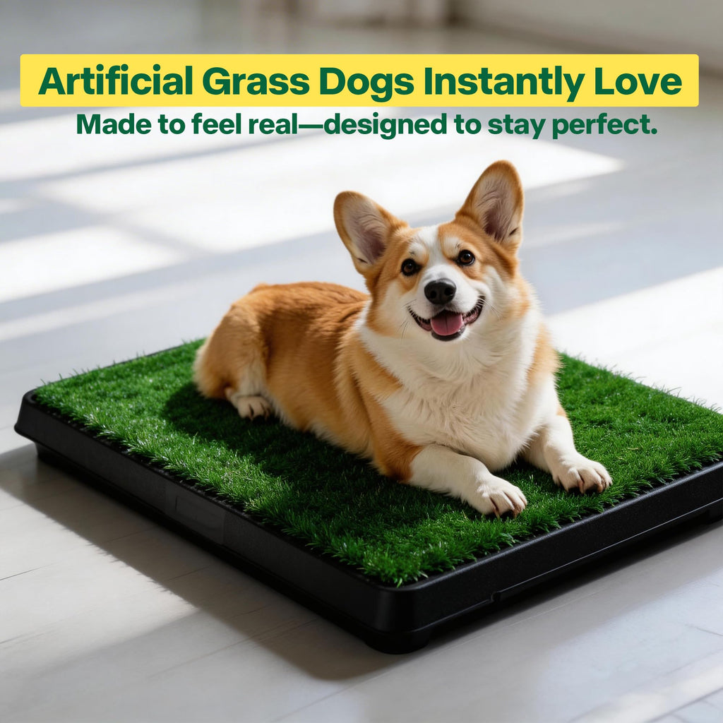 Dog Grass Pad with Tray V54077