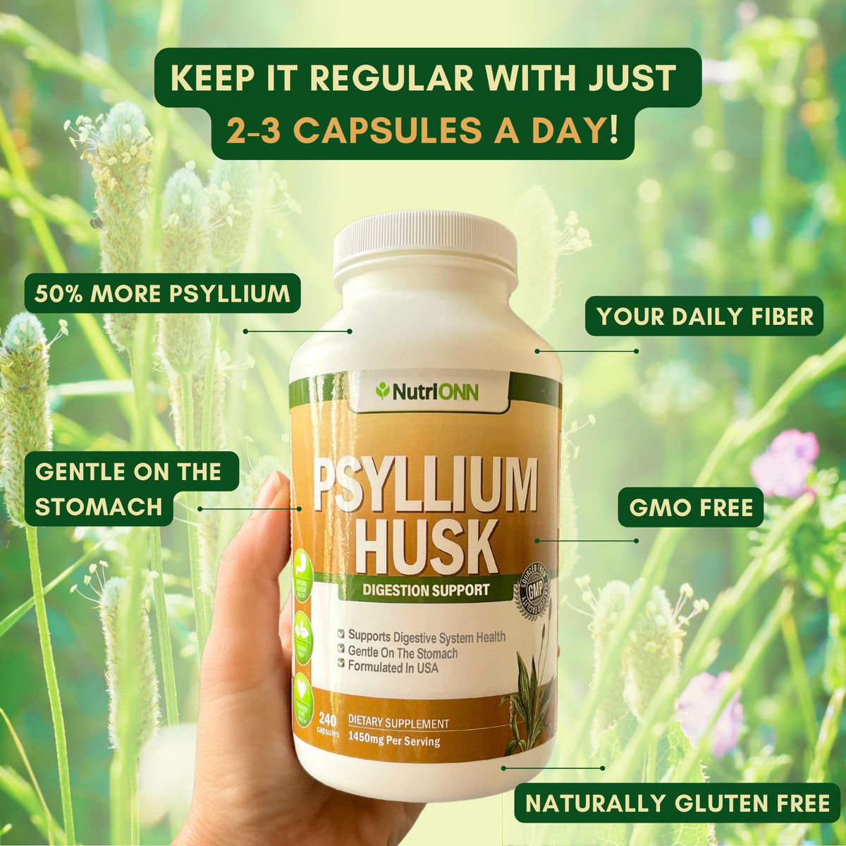 1450mg 240 Capsules Psyllium Husk Fiber Supplement O487