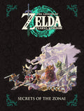 Zelda Tears of the Kingdom D80900