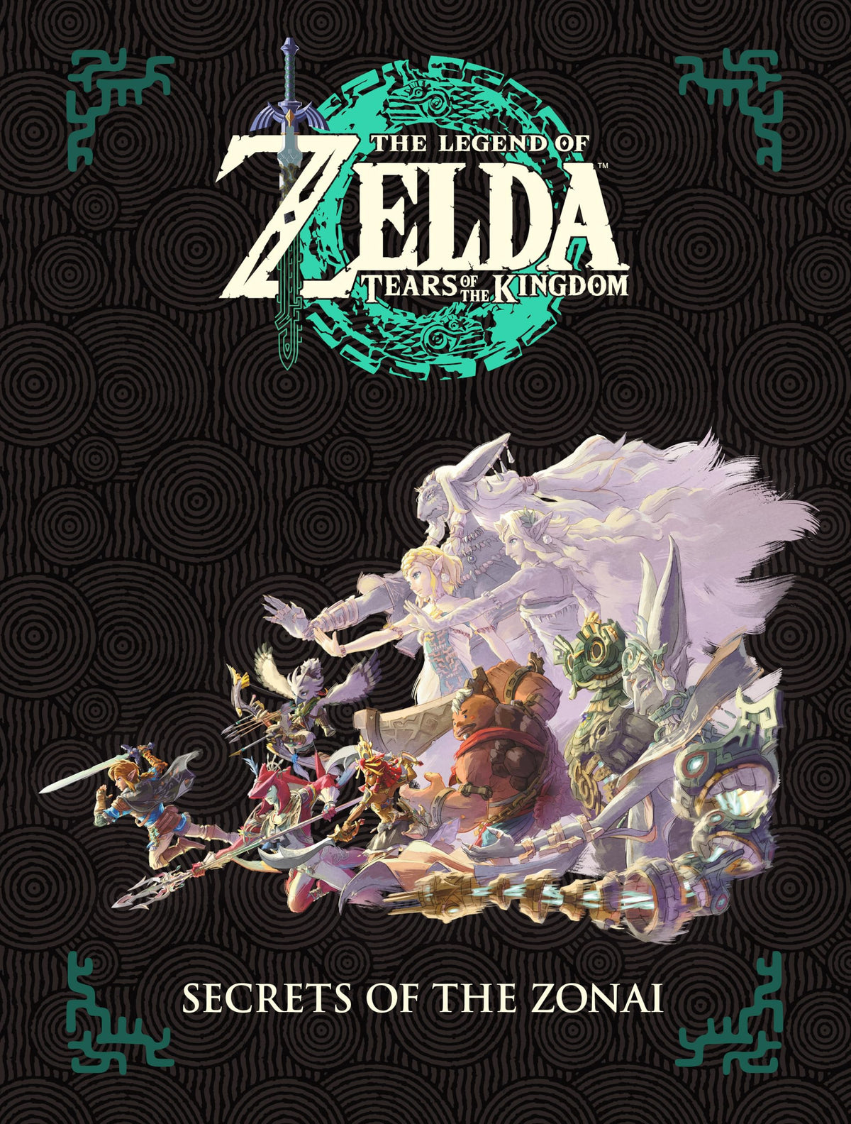 Zelda Tears of the Kingdom D80900