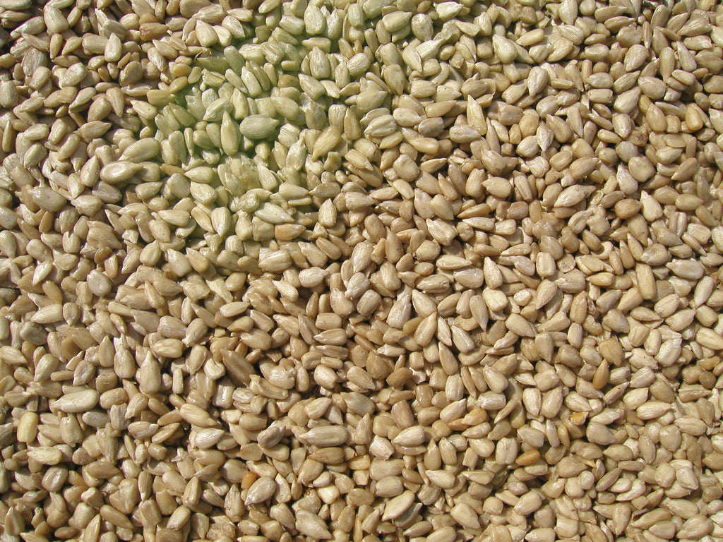 Sunflower Meats Bird Seed 20-Pound V765