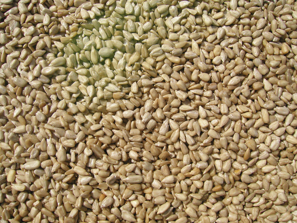 Sunflower Meats Bird Seed 20-Pound V765