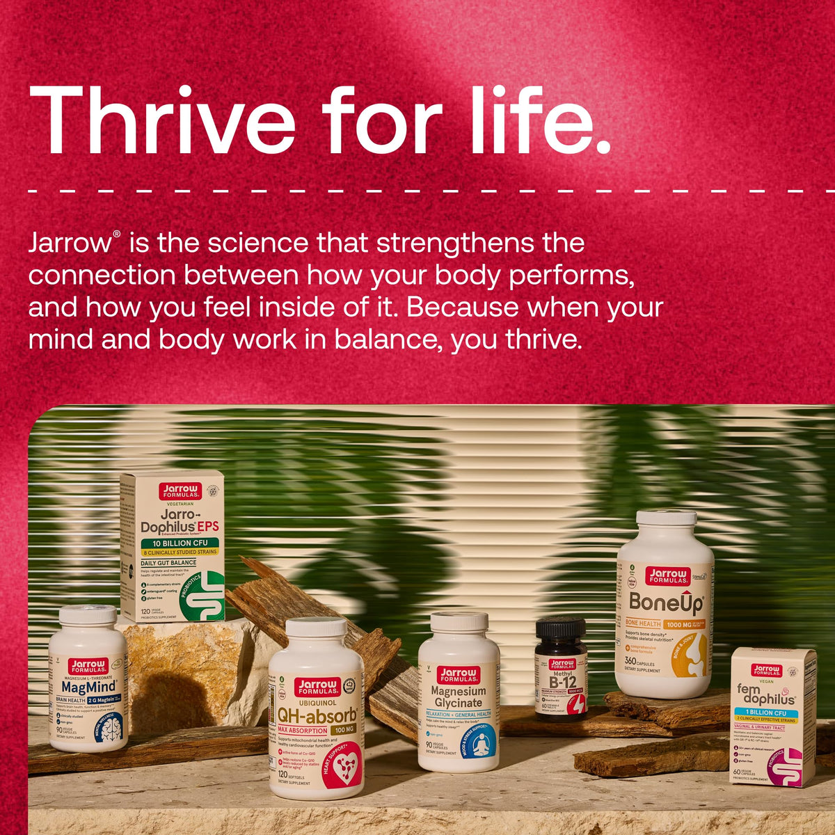 Milk Thistle 150mg 200 Capsules R977