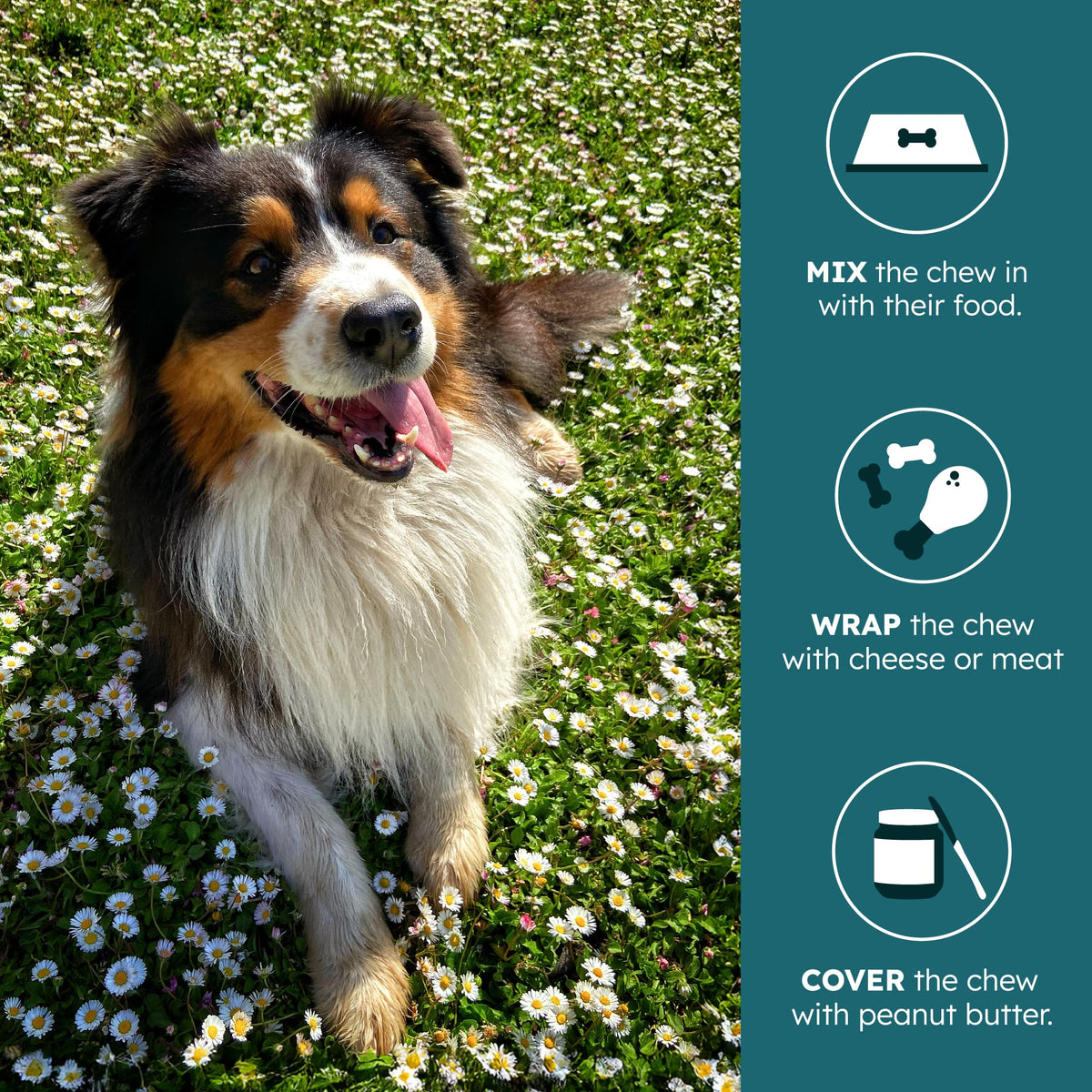 30 Soft Chews Pork Flavor Kidney Supplement for Dogs U480